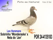 POR 24-4135183